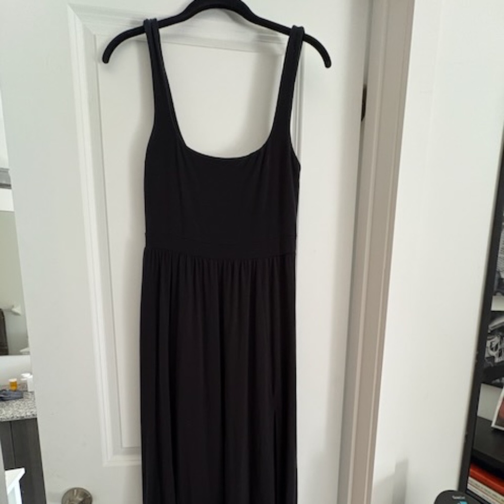 Aritzia Dress